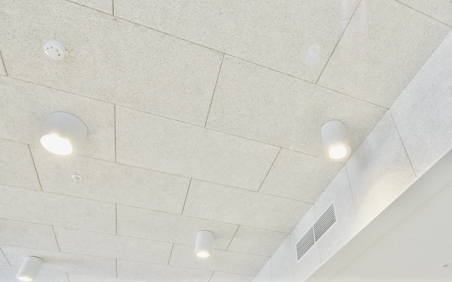 Plafond en wanden in Organic akoestische wandpanelen van Knauf